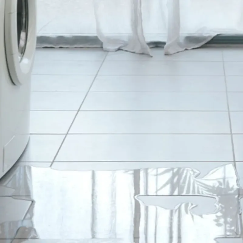 Appliance Leak Cleanup in Goshen, AR