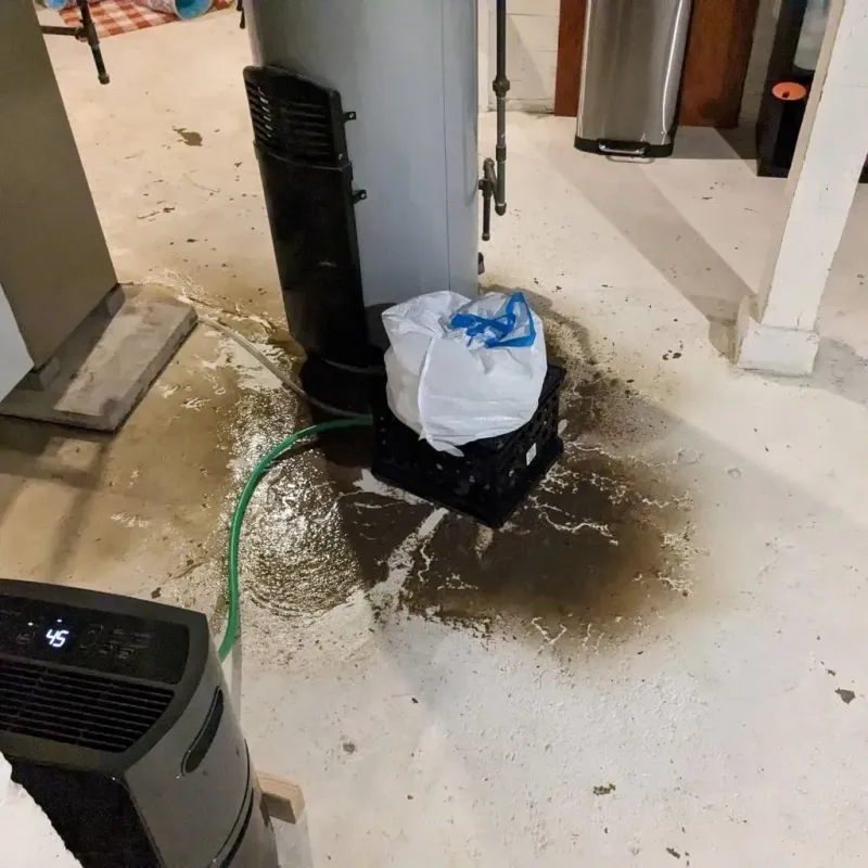 Sewage Backup Cleanup Service in Goshen, AR